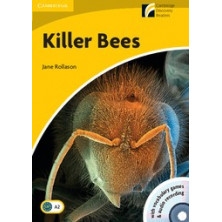 Killer Bees - Cambridge