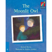 The Moonlit Owl - Cambridge